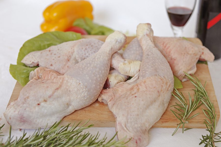 Pollo